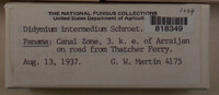 Image Associated With the Occurence